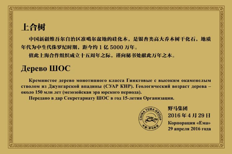 图片要害词