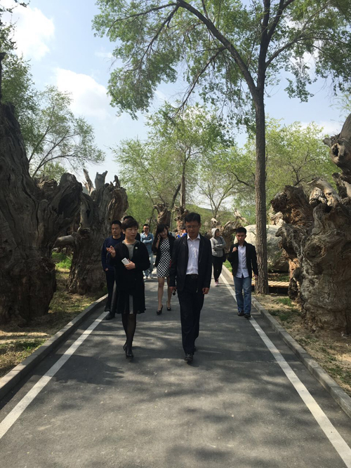 图片要害词