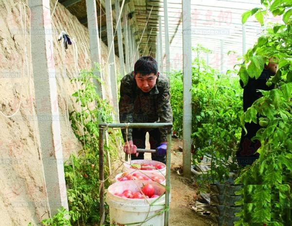 图片要害词