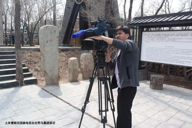 图片要害词