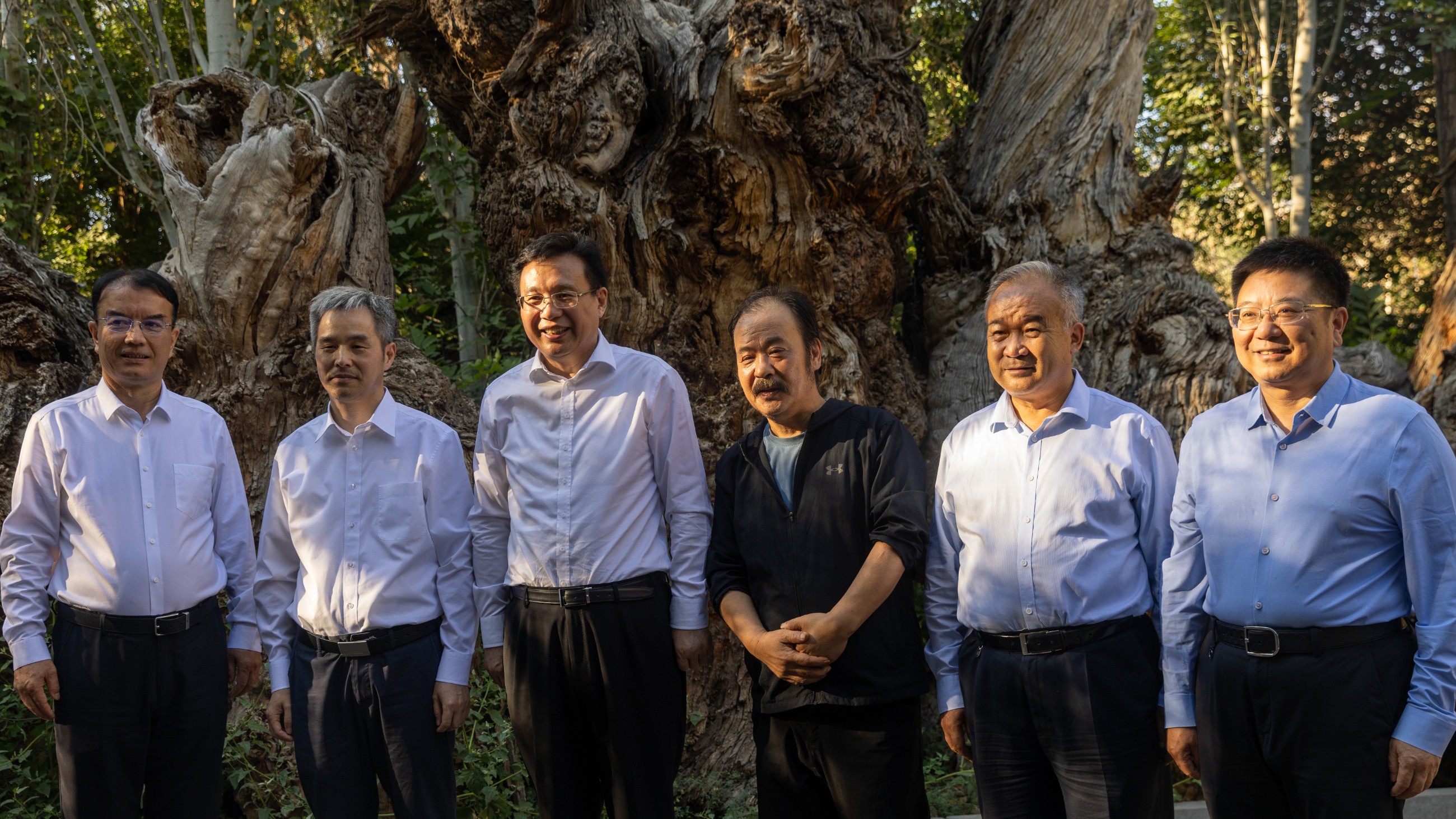 图片要害词