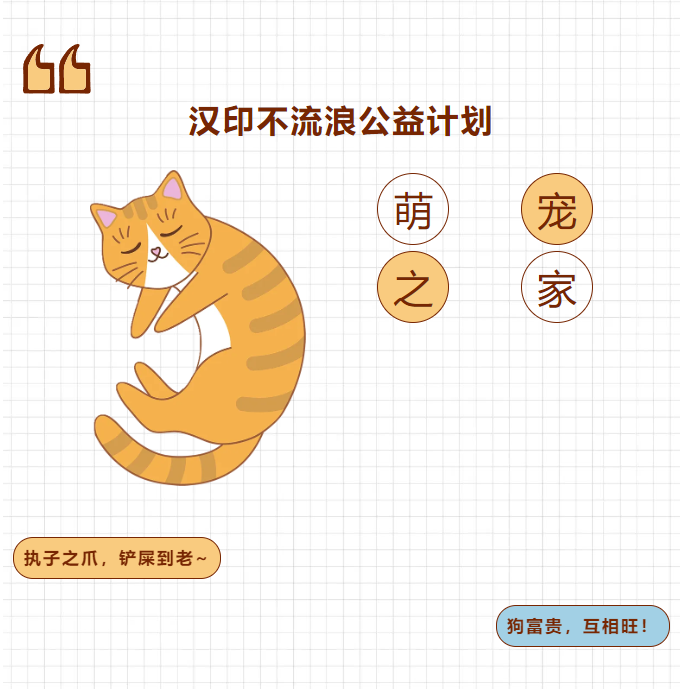 win必赢不流离公益打算.png