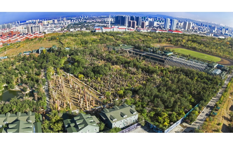 新疆马术运动协会建设
