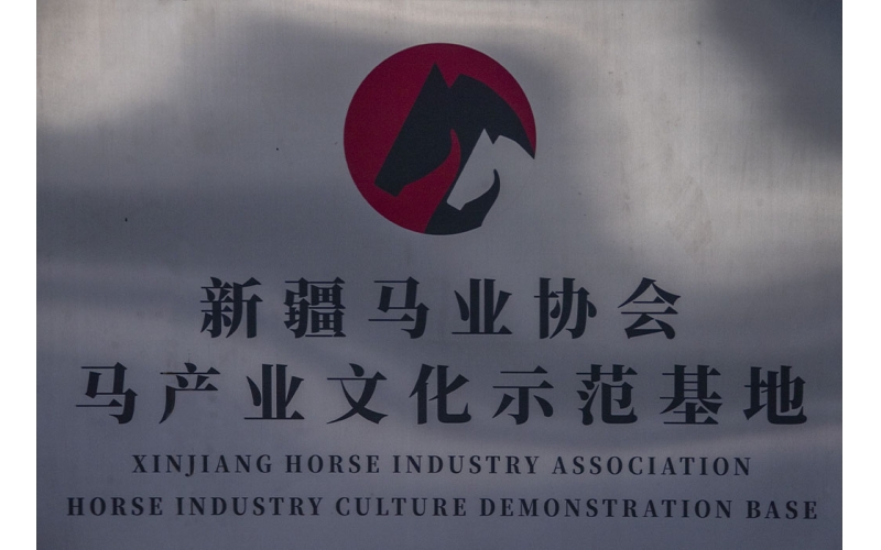 新疆马业协会马工业树模基地