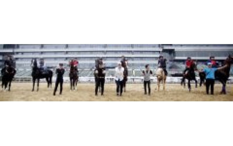 汗血宝马首次加入正式国际赛事