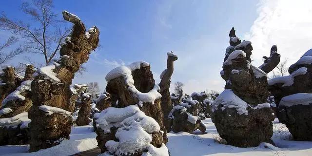 图片要害词
