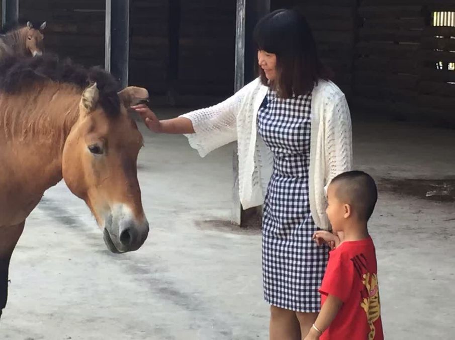 图片要害词
