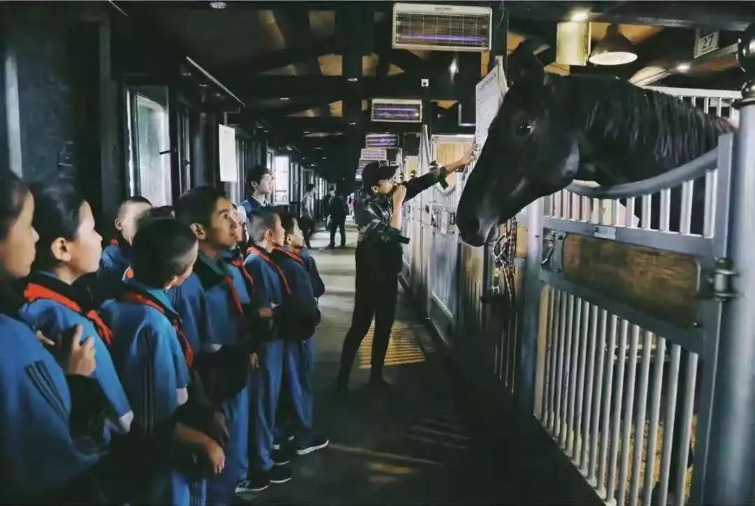 图片要害词
